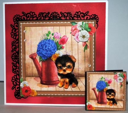 Little Yorkie by Kristina Norbat