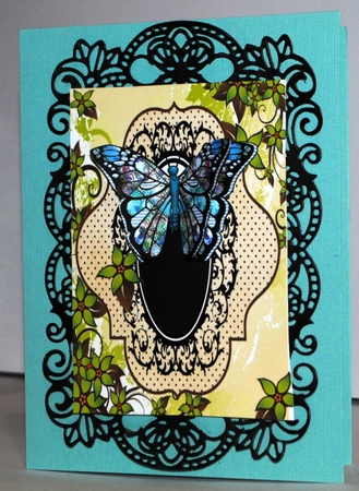 Butterfly6 by Kristina Norbat