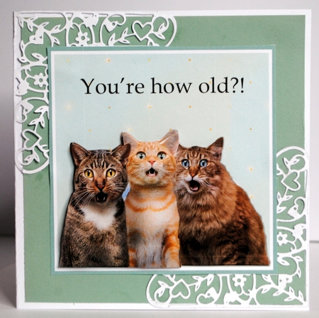 How Old?! one  by Kristina Norbat