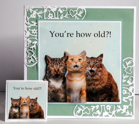 How Old?! one  by Kristina Norbat
