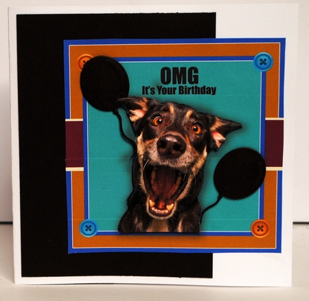 OMG Its Your Birthday by Kristina Norbat