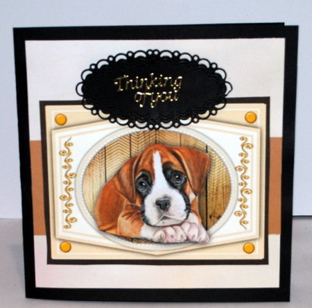 A5, Beautiful Boxer by Kristina Norbat