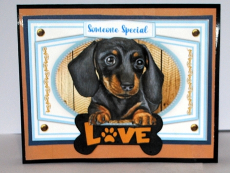 A5, Beautiful Dachshund  by Kristina Norbat