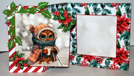 Christmas Owl fold back three  by Kristina Norbat