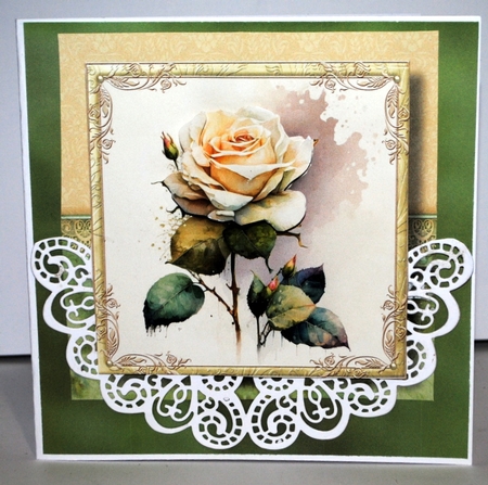 The Watercoloured Rose - White by Kristina Norbat