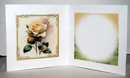 The Watercoloured Rose - White by Kristina Norbat