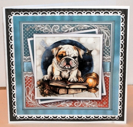 Just a Bulldog and his books KIT-ONE  by Kristina Norbat