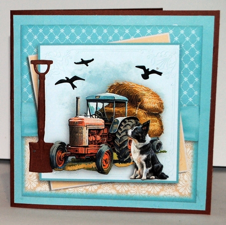The Border Collie  by Kristina Norbat