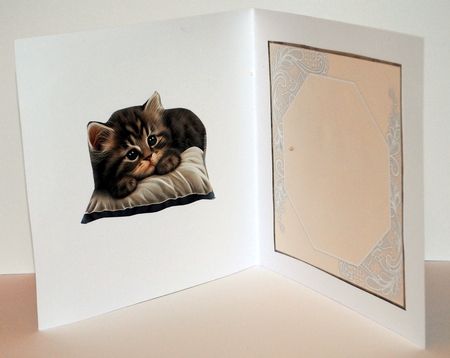 Vintage Kitten & Wateringcan Mini Kit by Kristina Norbat