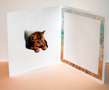 Cute Kitten & Roses Mini Kit by Kristina Norbat