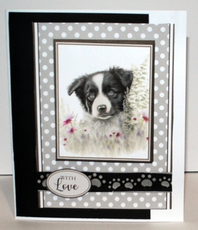 A5 Border Collie Mini Kit - x6 A4 sheets  by Kristina Norbat