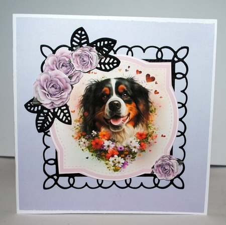 PRETTY IN PINK DOGS by Kristina Norbat