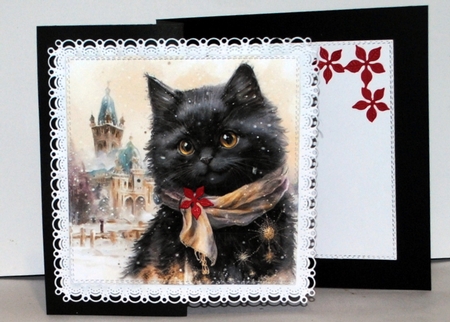 Cute kitten in winter 4 by Kristina Norbat