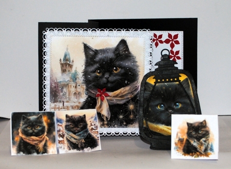 Cute kitten in winter 4 by Kristina Norbat