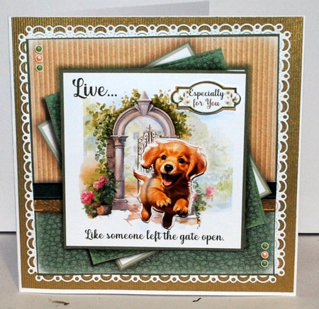 The Gate Is Open! (Golden Retriever) by Kristina Norbat