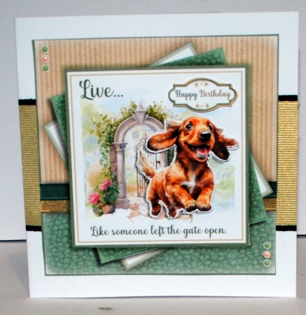 The Gate Is Open! (Dachshund) by Kristina Norbat