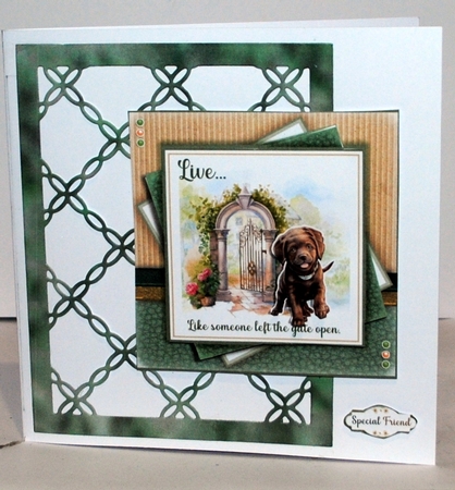 The Gate Is Open (Chocolate Lab) by Kristina Norbat