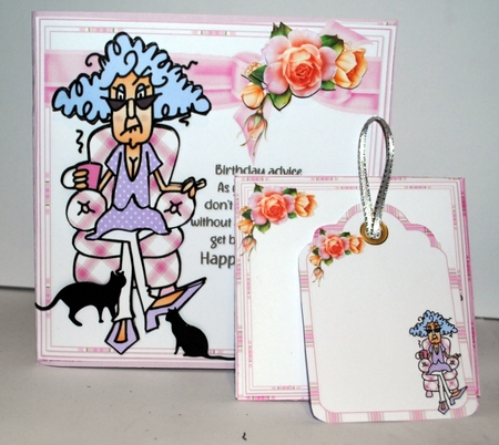 Stella has birthday advice A5 & 7x7 mini kit by Kristina Norbat