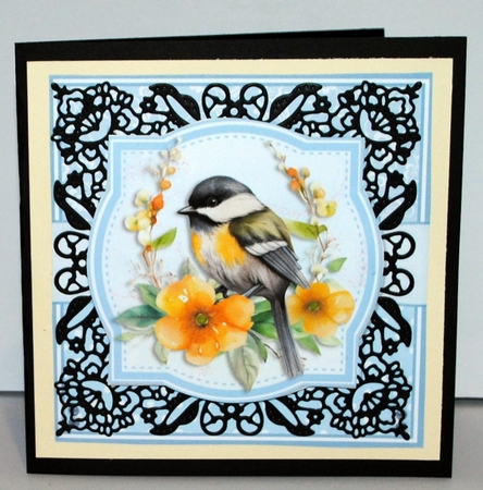 GREAT TIT BIRDS by Kristina Norbat