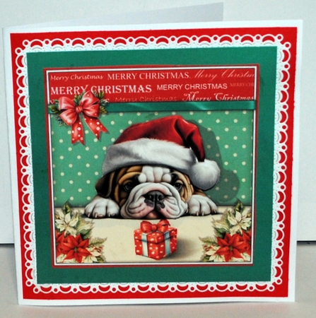 Santa Paws Is Coming To Town by Kristina Norbat
