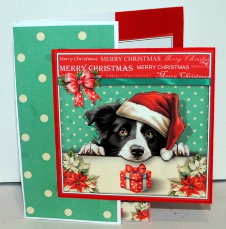 Hope Your Christmas Is Barking Mad! by Kristina Norbat