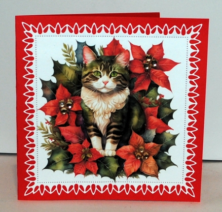 Christmas Poinsettia  01 by Kristina Norbat