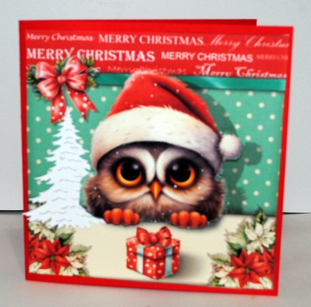 Hope Your Christmas Is A Hoot! by Kristina Norbat