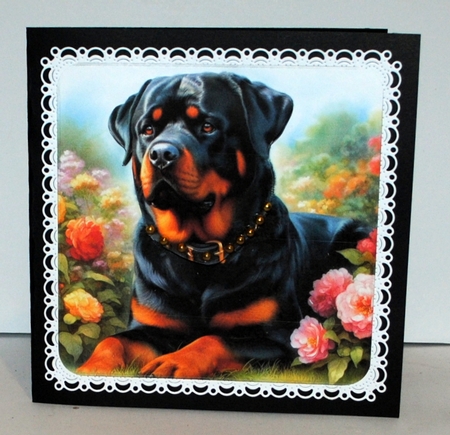 Summer Garden Dog 2 by Kristina Norbat