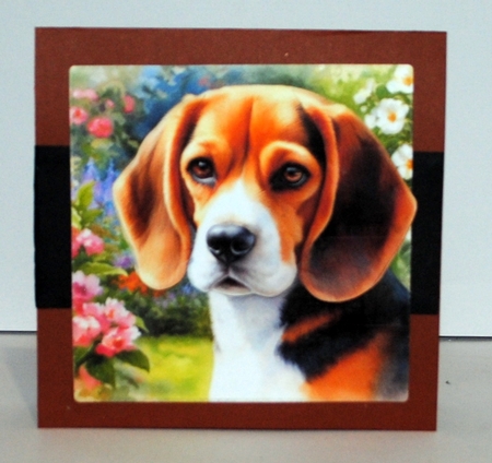Summer Garden Dog 2 by Kristina Norbat