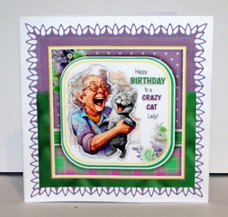 The Crazy Cat Lady by Kristina Norbat