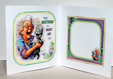 The Crazy Cat Lady by Kristina Norbat