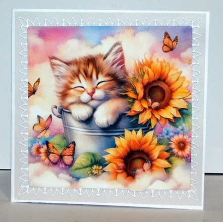 Sunflower Kitty by Kristina Norbat