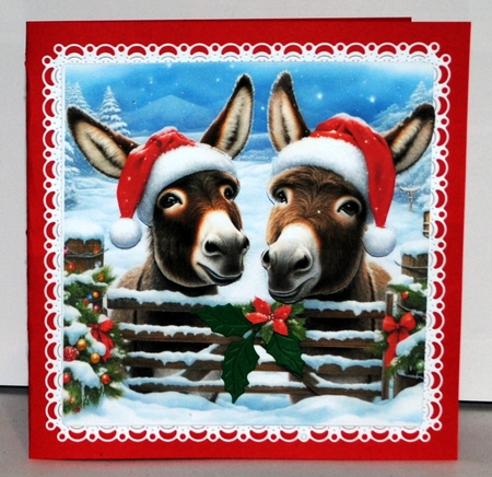 Christmas Donkey Gate by Kristina Norbat