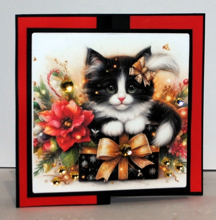 Christmas Kitty Present by Kristina Norbat