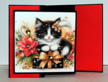 Christmas Kitty Present by Kristina Norbat