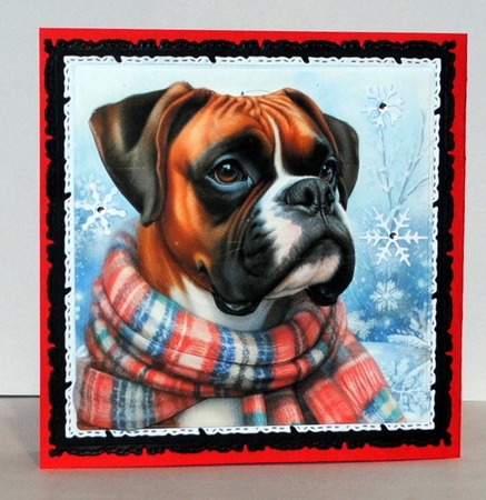 Boxer Winter Scarf by Kristina Norbat
