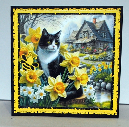 Daffodil Garden Cat 4 by Kristina Norbat