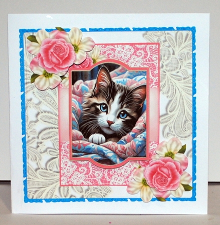 Kitty Love - 5x7 by Kristina Norbat