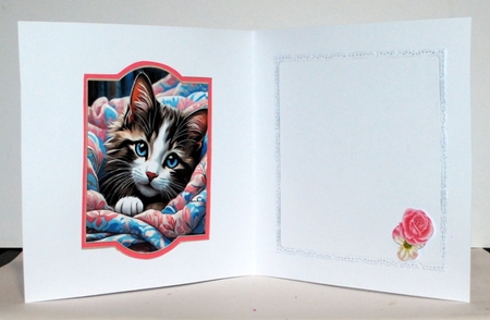 Kitty Love - 5x7 by Kristina Norbat