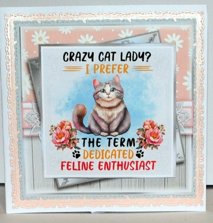Cat Lady by Kristina Norbat