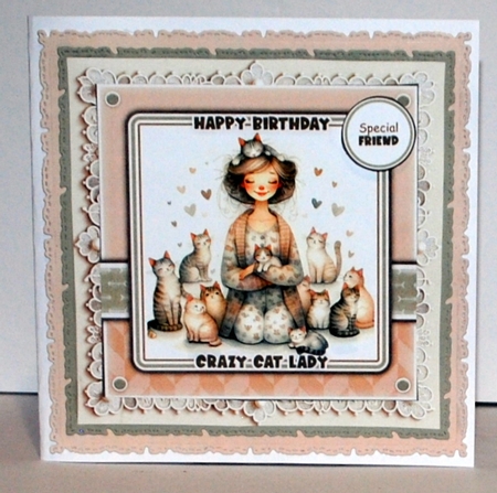 Crazy Cat Lady Mini Kit by Kristina Norbat