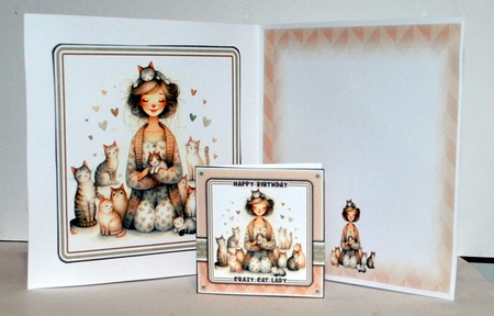 Crazy Cat Lady Mini Kit by Kristina Norbat