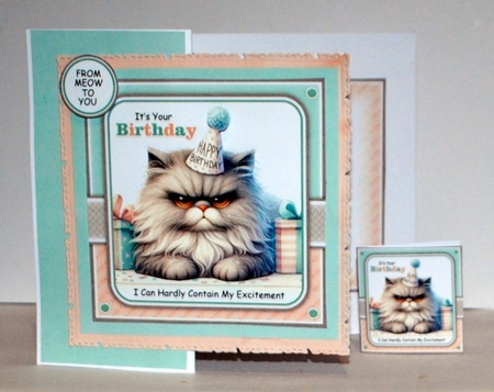 Excited Birthday Cat Mini Kit by Kristina Norbat