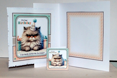 Excited Birthday Cat Mini Kit by Kristina Norbat