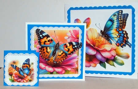 Beautiful Butterfly  by Kristina Norbat