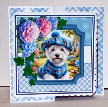 TARTAN DOGS by Kristina Norbat