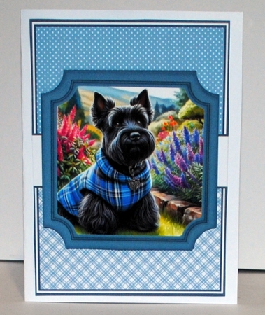 TARTAN DOGS by Kristina Norbat