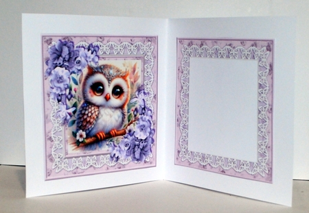 Gorgeous Owl Mini Kit by Kristina Norbat