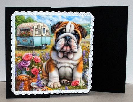 Caravan Pups 1 by Kristina Norbat