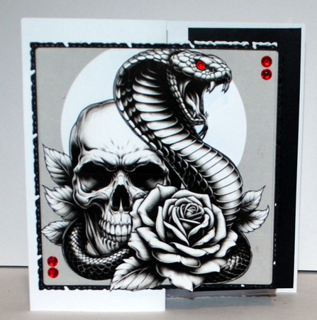 Skull and snake 2 REQUESTED by Kristina Norbat